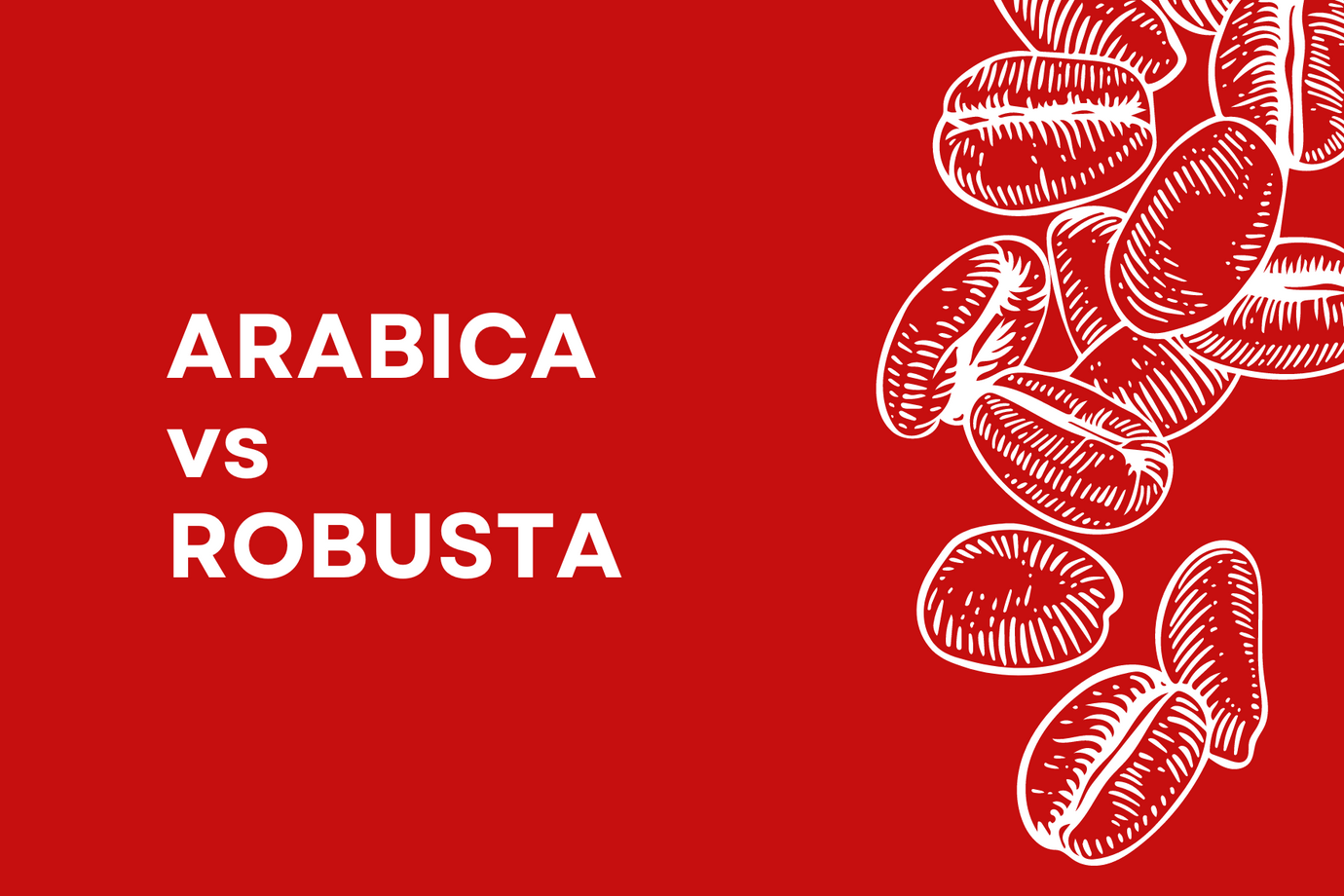 Arabica vs Robusta