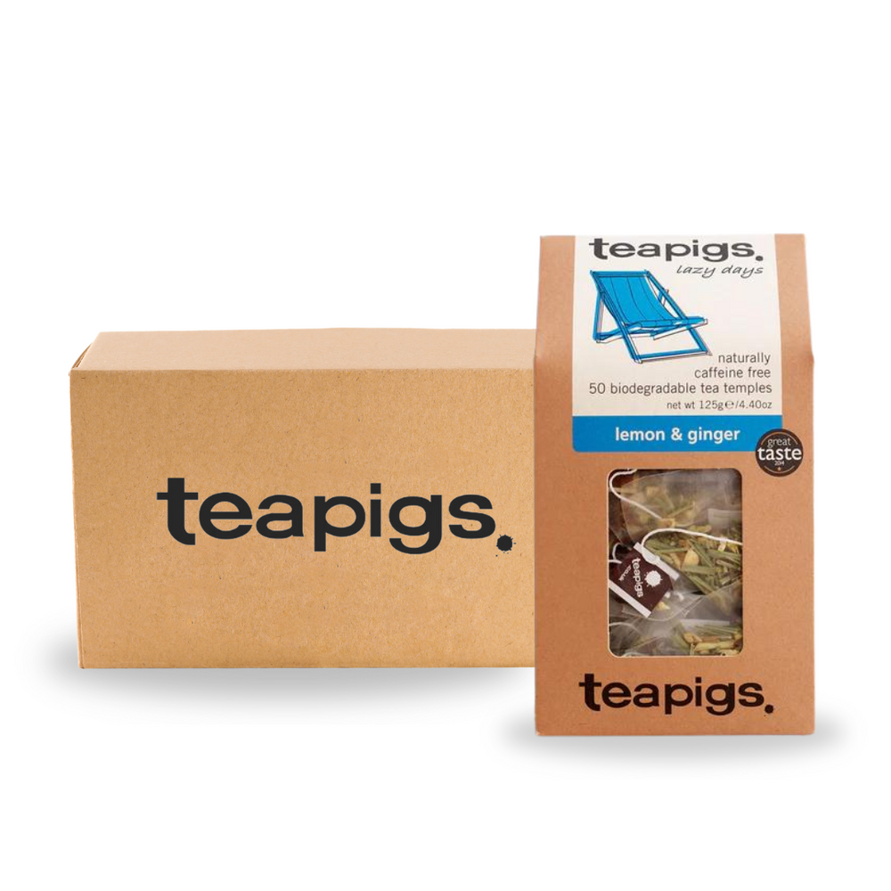 Teapigs Lemon & Ginger Tea Temples (50)