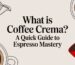 what is coffee crema coffee illustration.jpg