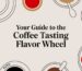 coffee tasting flavor wheel coffee illustration