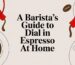 dial in espresso espresso illustration