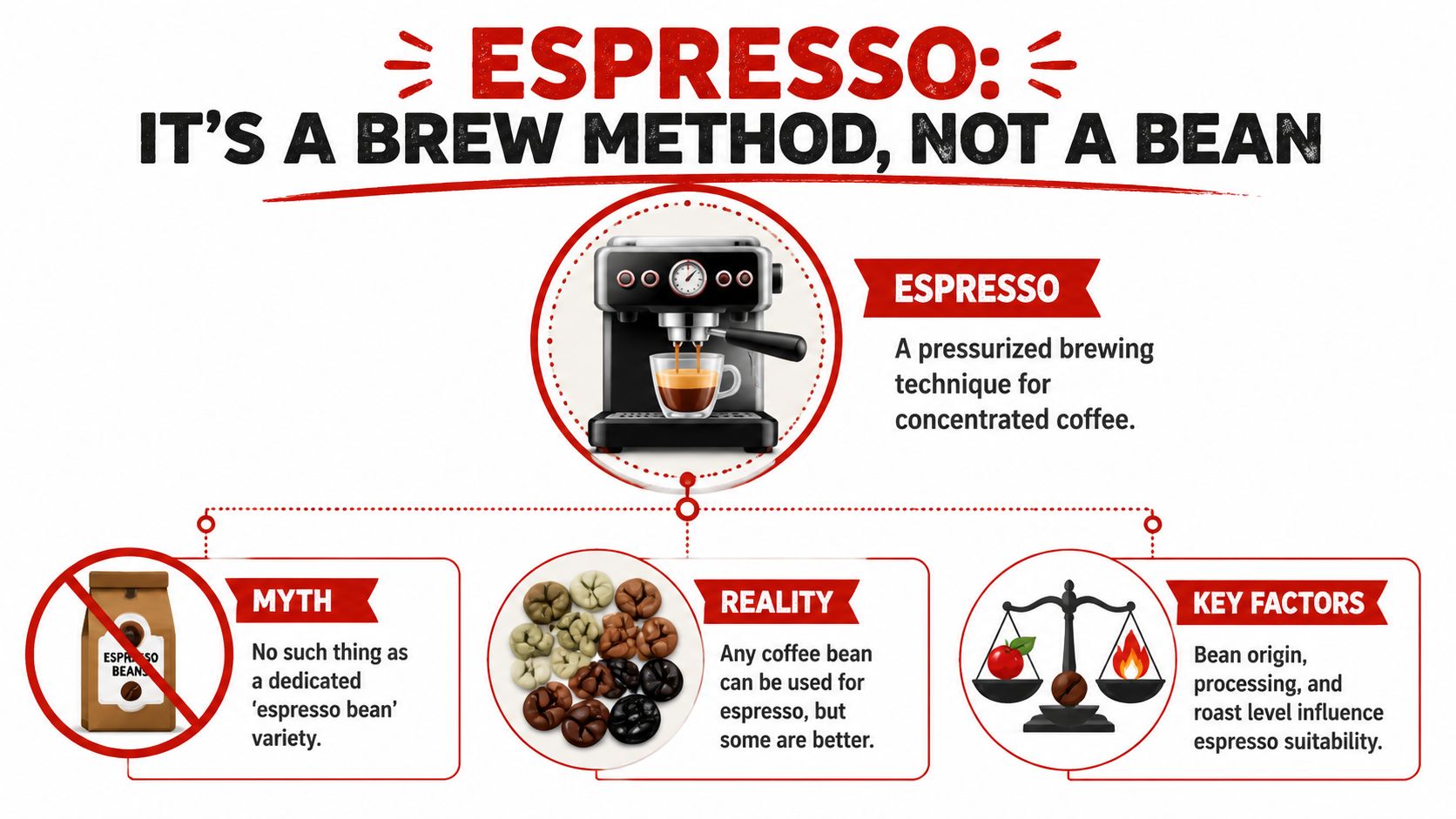 An infographic explaining that espresso is a brewing method, not a specific type of coffee bean.