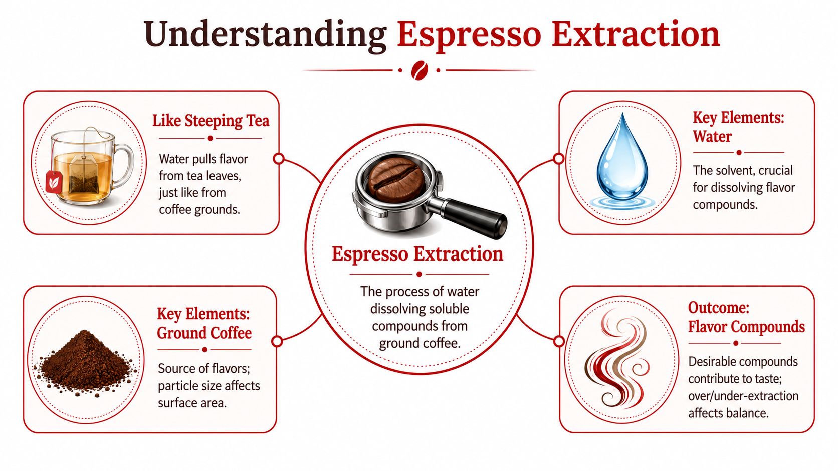 An infographic titled Understanding Espresso Extraction explaining how water, coffee grounds, and flavor compounds interact during brewing.