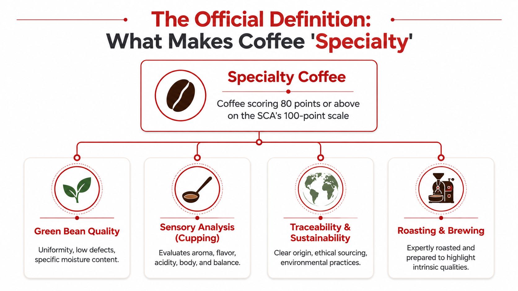 An infographic defining specialty coffee as scoring 80 points or above on the SCA 100-point scale.