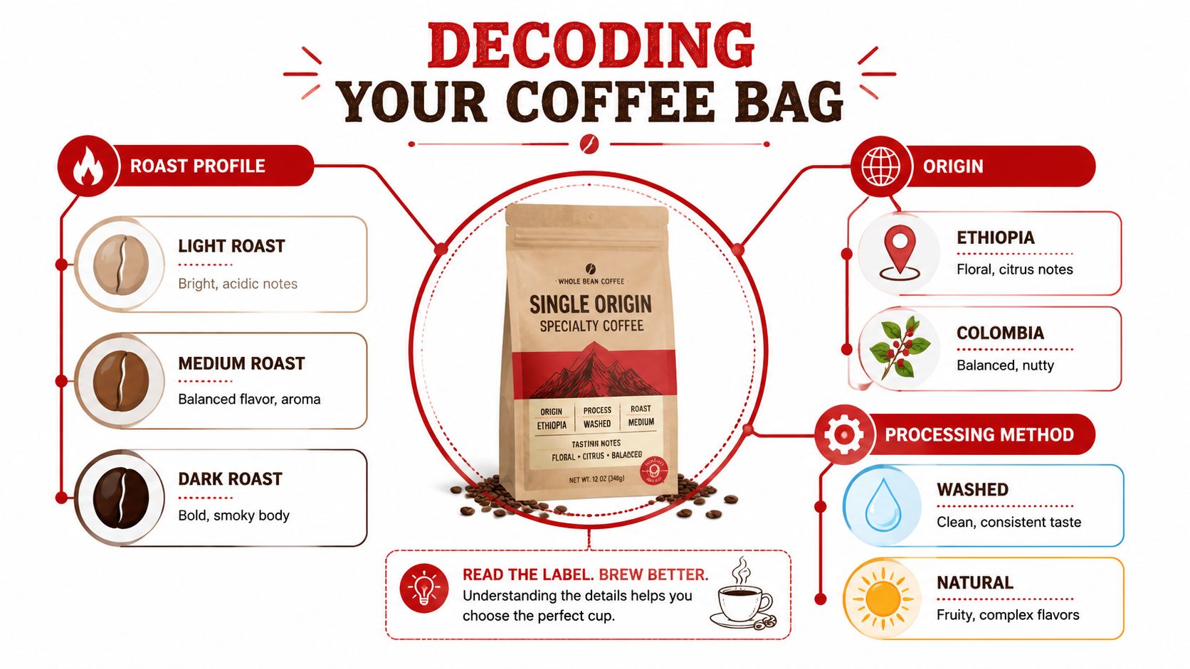 An infographic titled Decoding Your Coffee Bag explaining roast profiles, origins, and processing methods for coffee.