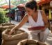 Cafe owner inspecting wholesale coffee bean sacks