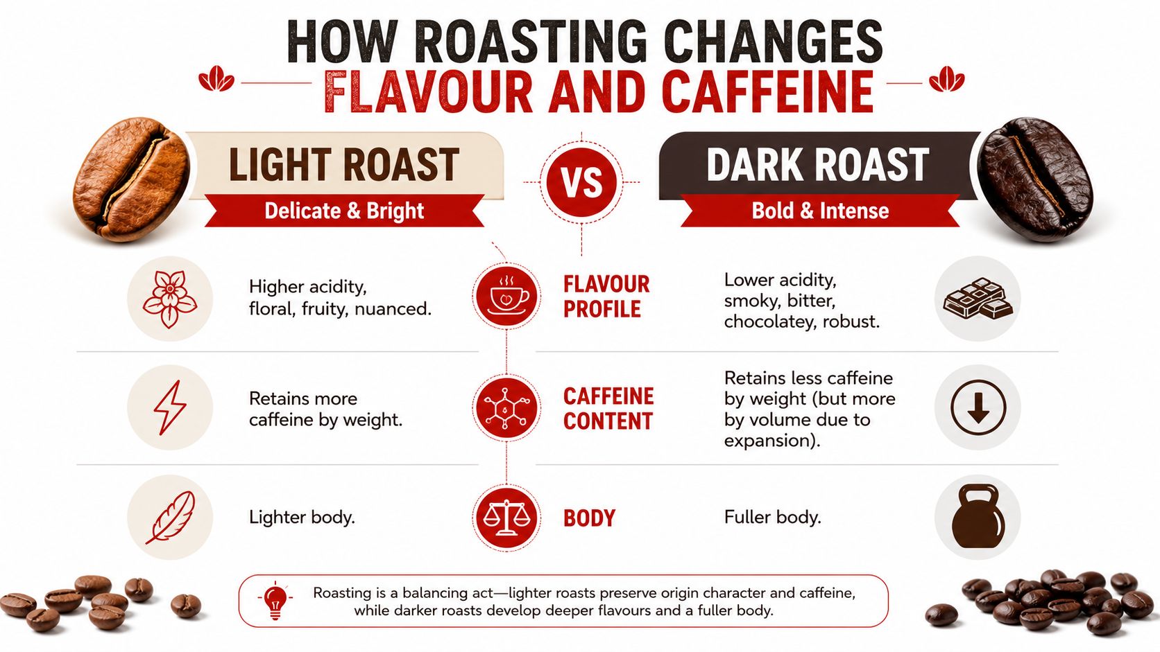 A comparative infographic showing the differences in flavor, caffeine content, and body between light and dark coffee roasts.