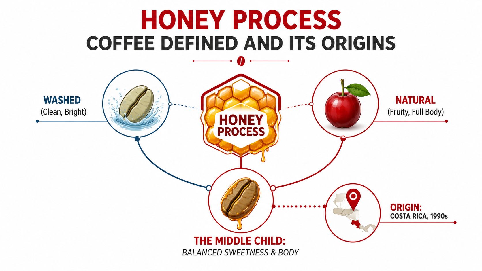 An infographic explaining the honey coffee process by comparing it with washed and natural coffee methods.