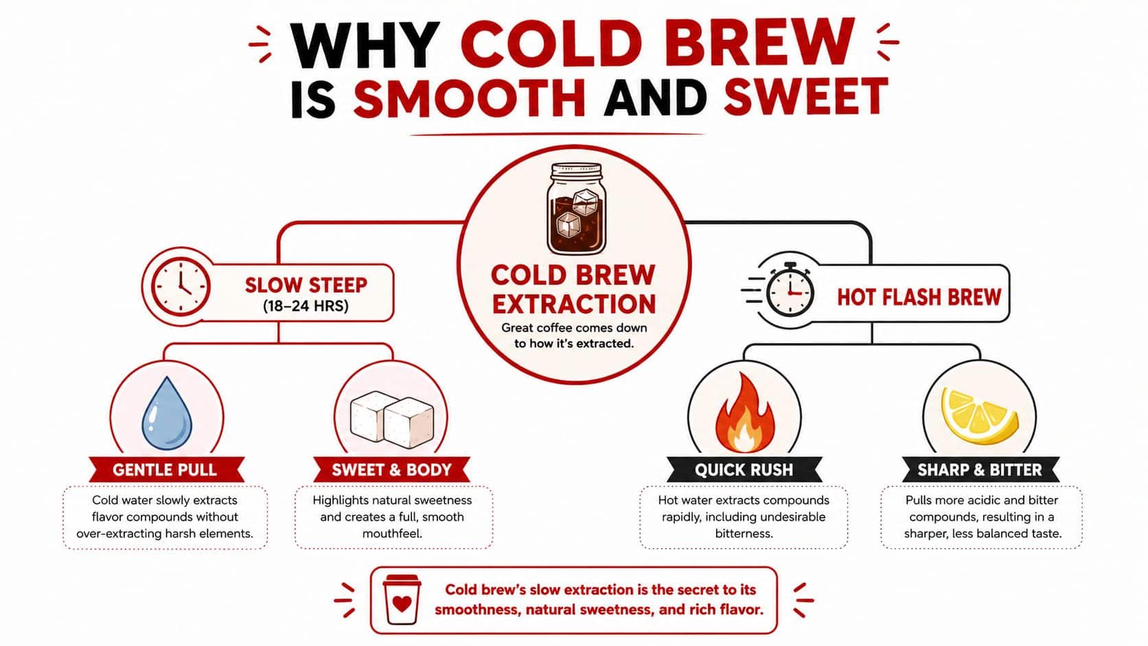 An infographic comparing the cold brew extraction process to hot flash brew and explaining why cold brew is smoother.